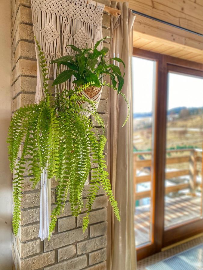 Dziejba Lesna Apartamenty &Spa - Piekne I Nowe Apartamenty I Domek, Sauna I Jacuzzi - W Cenie I Na Wylacznosc, 1 Km Od Stoku Jaworki Kültér fotó