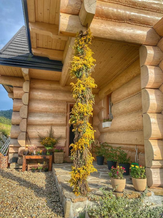 Dziejba Lesna Apartamenty &Spa - Piekne I Nowe Apartamenty I Domek, Sauna I Jacuzzi - W Cenie I Na Wylacznosc, 1 Km Od Stoku Jaworki Kültér fotó